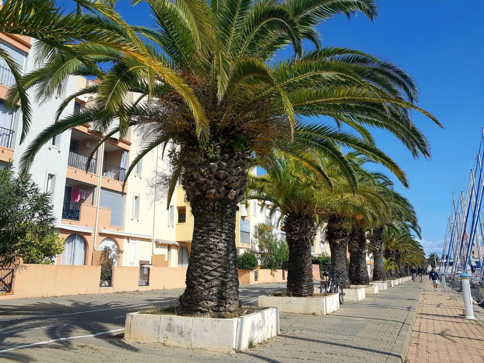 Апартаменты T2 Sur Le Port Avec Parking Груиссан Экстерьер фото